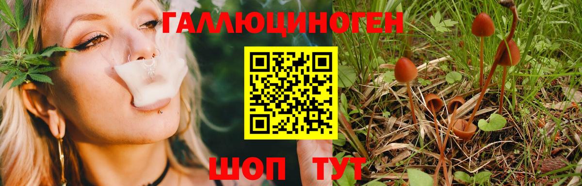 Галлюциногенные грибы GOLDEN TEACHER Озёрск