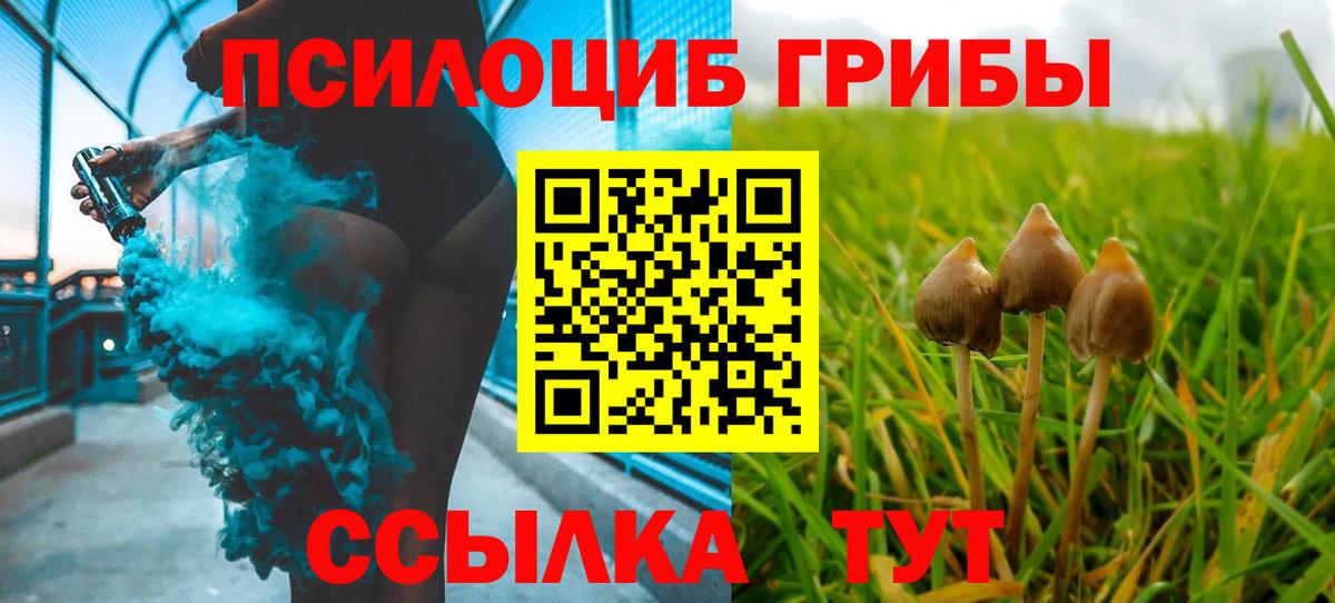 Псилоцибиновые грибы мухоморы  Псилоцибиновые грибы прущие грибы  Озёрск  Вход с VPN 